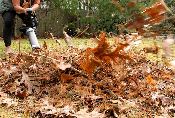 April 8 -- Activists are looking to minimize or altogether ban the use of leaf blowers in Southampton Town, at least in summer.