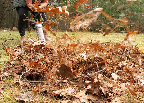 Activists are looking to minimize or altogether ban the use of leaf blowers in Southampton Town. KYRIL BROMLEY