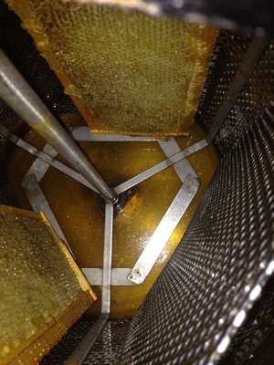 Looking down into the honey extractor, which uses centrifugal force to spin honey out of three frames at a time. LISA DAFFY
