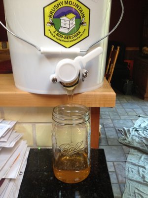 The final step: From the bucket into glass jars, where honey will stay fresh virtually forever. LISA DAFFY