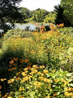 Lyn and James Adamson's garden on Kellis Pond. KYRIL BROMLEY