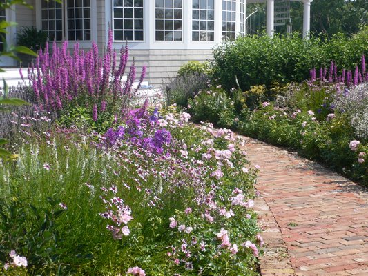 Purples, pinks and blues are already very popular in landscape design, as in this Sagaponack garden. ROXINE BROWN ROXINE BROWN