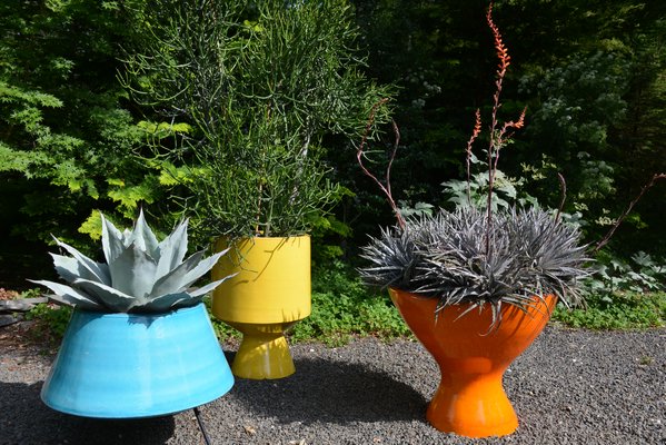 "Bright Colors of Unlimited Earth Care" at the "Planters On + Off the Ground VI" invitational at LongHouse Reserve in East Hampton. ALEX GOETZFRIED