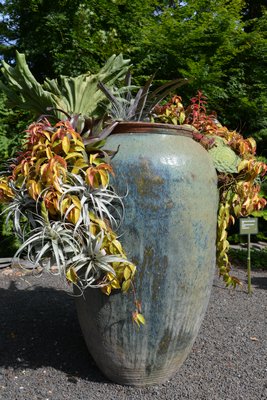 "On + Off + Inside + Out" by Landcraft Environments at the "Planters On + Off the Ground VI" invitational at LongHouse Reserve in East Hampton. ALEX GOETZFRIED