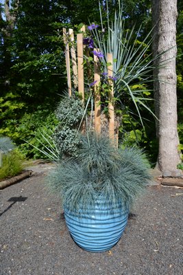 "Summer Chill" by Soil Inc. at the "Planters On + Off the Ground VI" invitational at LongHouse Reserve in East Hampton. ALEX GOETZFRIED