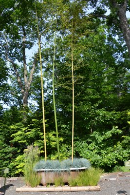 By Hamptons Grass & Bamboo at the "Planters On + Off the Ground VI" invitational at LongHouse Reserve in East Hampton. ALEX GOETZFRIED