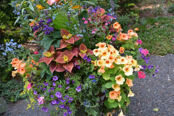 "Butterflies in a Basket" by New Leaf Landscape Maintenance at the "Planters On + Off the Ground VI" invitational at LongHouse Reserve in East Hampton. ALEX GOETZFRIED
