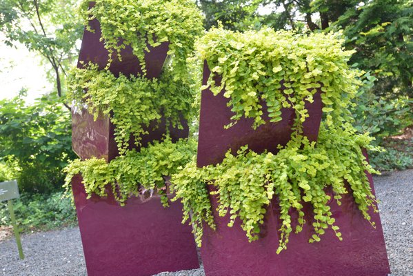 "Urban Jungle" by Sumerhill Landscapes at the "Planters On + Off the Ground VI" invitational at LongHouse Reserve in East Hampton. ALEX GOETZFRIED