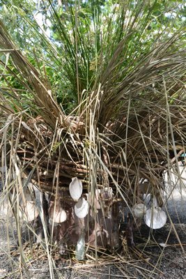 By April Gonzales Garden Design at the "Planters On + Off the Ground VI" invitational at LongHouse Reserve in East Hampton. ALEX GOETZFRIED