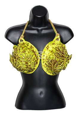 Lynn Leff's bra design.