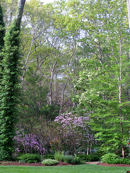 From the East Hampton garden of Abby Jane Brody. COURTESY THE GARDEN CONSERVANCY