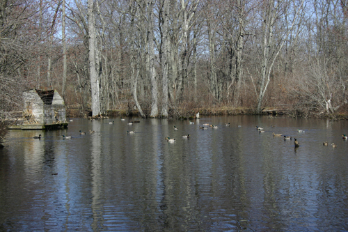 Spring Farm in Sag Harbor Image 4