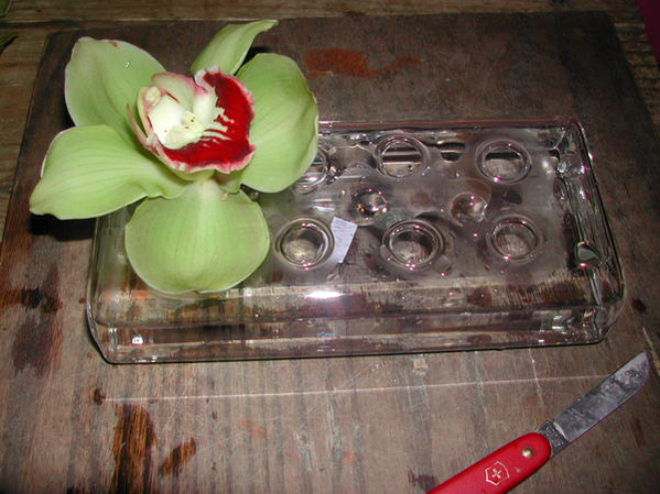 A flute vase provides a unique space to display blossoms with ease. BRANDI BUCHMAN