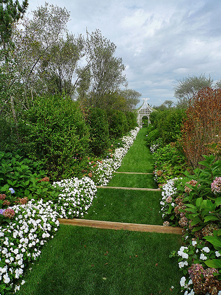 A long edging of white impatiens in a seaside garden may be a scene not seen for many years to come.  ANDREW MESSINGER