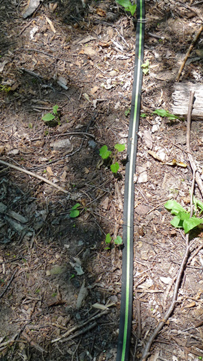 A soaker hose made from reprocessed automobile tires.  With the green stripe up it will water a width of about five feet.  With the green stripe down and pressure reduced it becomes a soaker.