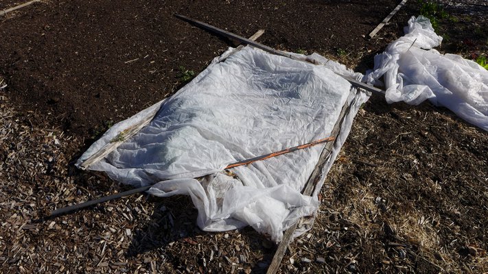 A spun-fiber product like Reemay is used to cover spinach and early chard. The material protects against frost and gives some protection from freezing but allows the soil and early crops to cool at night without freezing. ANDREW MESSINGER