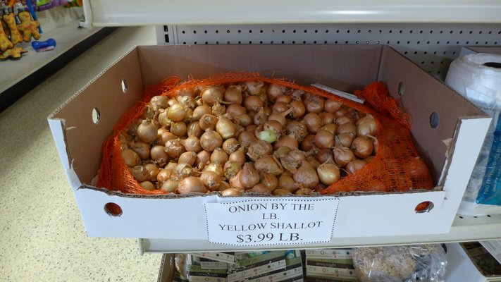 Shallots are onion relatives and are planted the same way (pointed end up). These yellow shallots are sold in bulk by the pound ANDREW MESSINGER