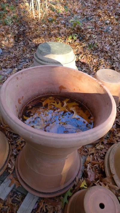 Expensive terracotta pots can be stored outdoors if they are inverted and set on wood so that there is no contact with the ground. Placing one pot on top of the other will block the drain hole and end in disaster. ANDREW MESSINGER