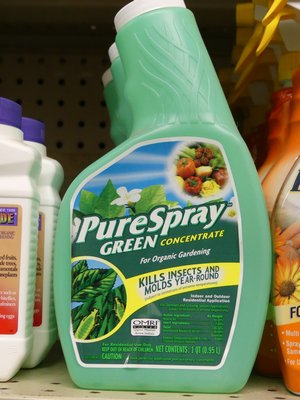 Pure Spray Green is an organic mineral oil concentrate. While it's one of the few oils that is OMRI certified it's better suited for non-dormant applications such as vegetables, annuals, perennials and indoor plants. ANDREW MESSINGER