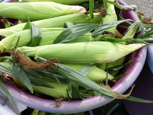 A tub of corn right from the field. How do you know it’s ripe? The brown silk that’s crispy at the end it the clue here.  ANDREW MESSINGER
