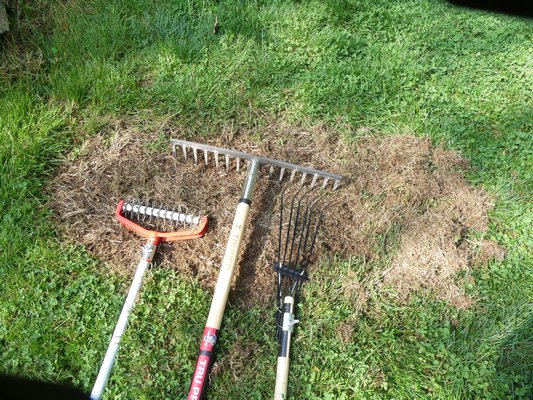 A tined or spiked renovator, left, can be used to rough the soil and prepare a seed bed. The tined rake,  center, can be used to level and tamp while the quarter fan rake is used to scratch out dead grass and thatch.  ANDREW MESSINGER