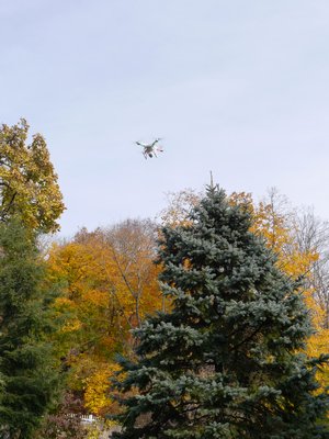 The Phantom continues to take photos and video of the spruce 25 feet above the ground. No human on a ladder could do this safely or as easily. ANDREW MESSINGER