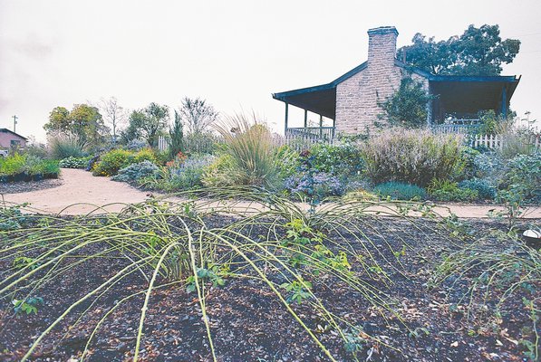 Michael Shoup discovered roses flourishing long after the people who planted them had gone. MICHAEL SHOUP