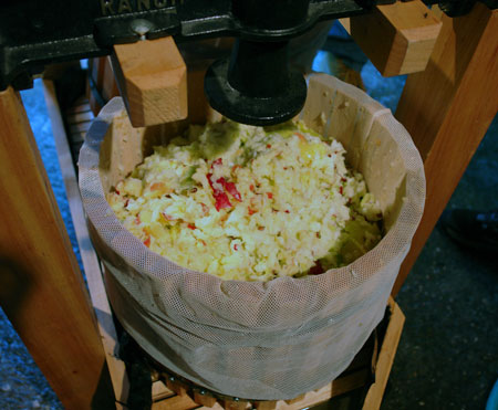 Apple mash. ANDREW MESSINGER