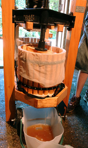 The press is a simple machine that squeezes the apple flesh and extracts the cider. ANDREW MESSINGER