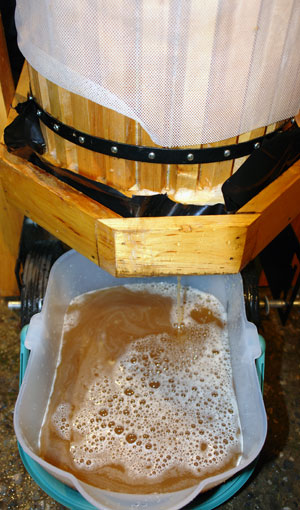 The cider is collected in a plastic container. ANDREW MESSINGER