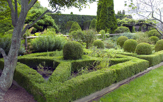 A decorative hedge.