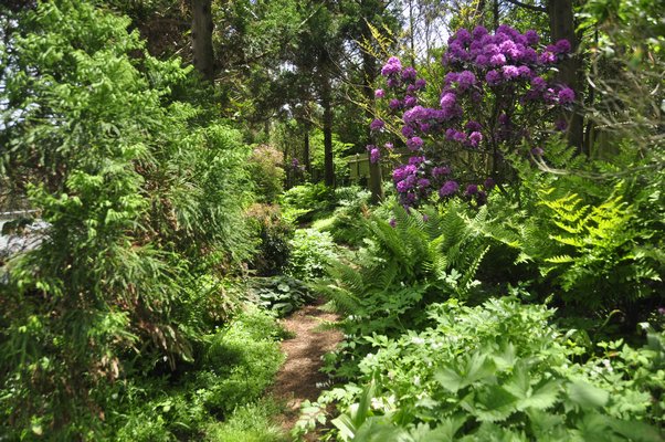 Scenes from Alexandra Munroe's and Robert Rosenkranz's garden in East Hampton. MICHELLE TRAURING