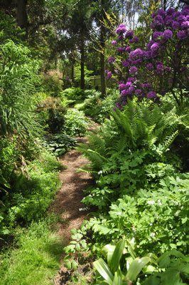 Scenes from Alexandra Munroe's and Robert Rosenkranz's garden in East Hampton. MICHELLE TRAURING