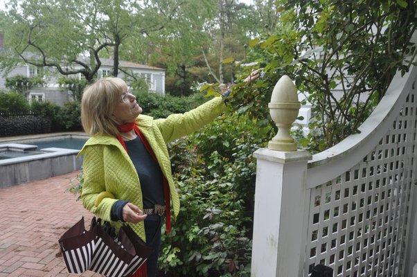 Helga Dawn, left, and Huguette Hersch talk roses. BY MICHELLE TRAURING