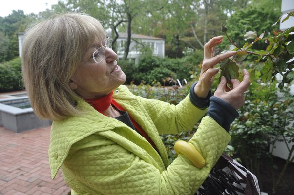 Helga Dawn, left, and Huguette Hersch talk roses. BY MICHELLE TRAURING