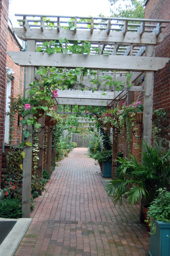 An inviting streetscape into the alley by Sant Ambrose in Southampton Village.