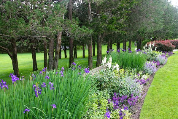 The Novogratz garden in Amagansett. KYRIL BROMLEY