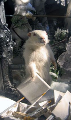 Bergdorf’s “spring” window is stuffed with white on white taxidermy mixed in with gorgeous blanc de chine pheasants, roosters and eagles. MARSHALL WATSON