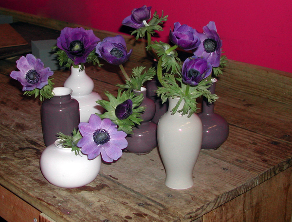 Single anemones blossoms in bud vases are easy to arrange and add a pop of springtime color to any home. BRANDI BUCHMAN