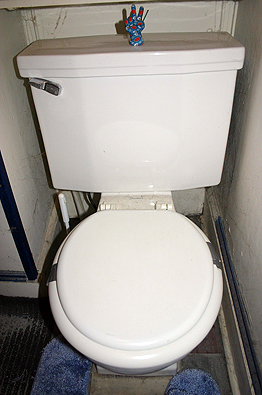 The area around the toilet can get absolutely filthy.  <br>Photo by Neil Salvaggio