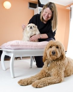 Dee McMeekan and her pooches.