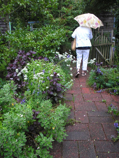 Touring Madoo Conservancy, where purple perilla and white-flowered garlic chives line a walkway.