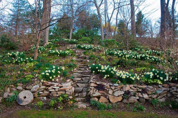 Perfect imperfections like old stone walls give a garden character. ROB CARDILLO