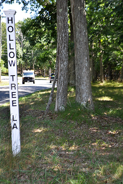 Hollow Tree Lane.  ELIZABETH LAYTIN