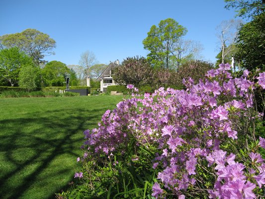 It won't be long before color returns to public gardens like LongHouse. JOANNE SOHN, COURTESY LONGHOUSE RESERVE