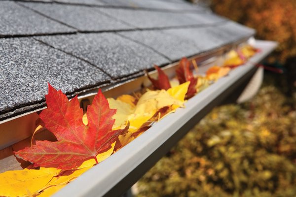 Leaves collecting on the roof and in gutters can damage a house. No credit