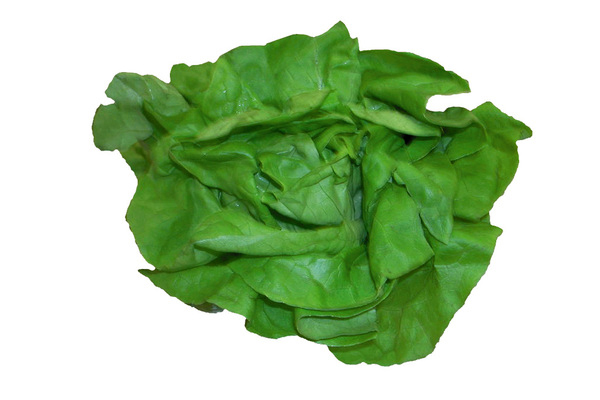 Lettuce