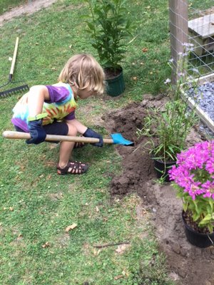 Ollie helps move dirt in his family's new garden funded through the Friendly Yard Program with Peconic Estuary. COURTESY MARE DIANORA
