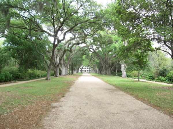 New Orleans April 2011.