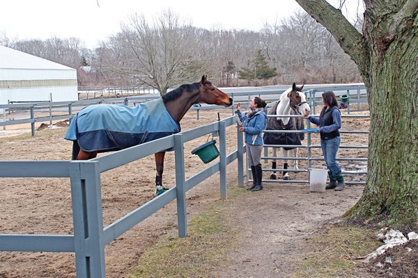 February 27: Berkeley Olkes and Allie Carmichael tend to the horses at Stony Hill Stables.